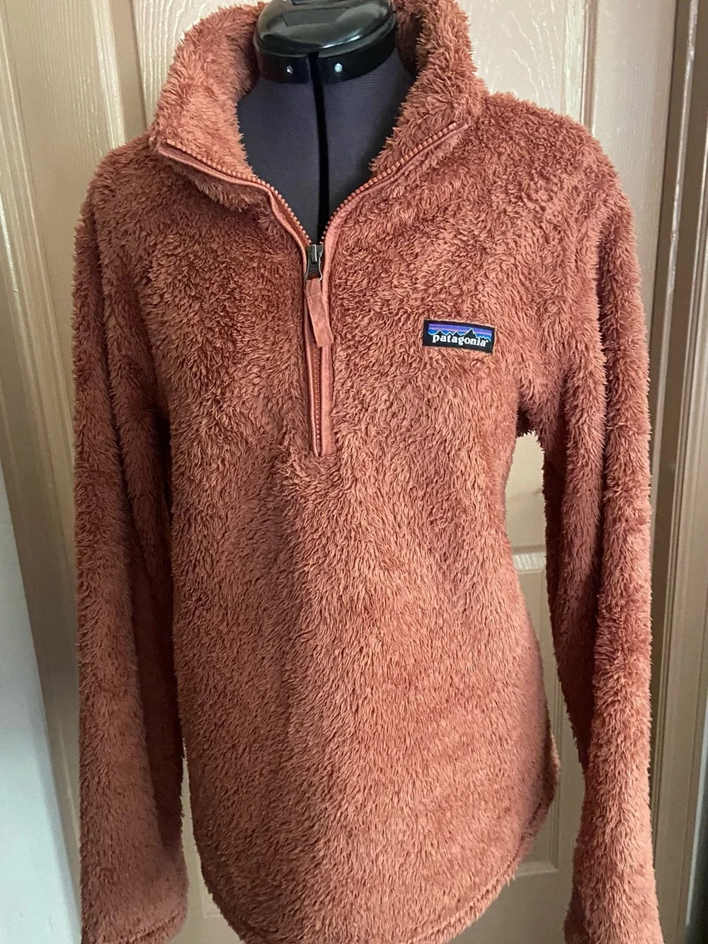Patagonia Plush Half-Zip Pullover in Rusty Brown